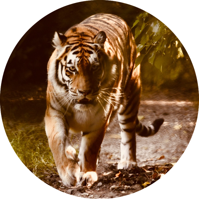 L'unique but de la Souveraineté individuelle est de Vivre et co-créer en Pleine Conscience et dans l'Amour le Monde à l'Endroit avec les Êtres qui y aspirent.