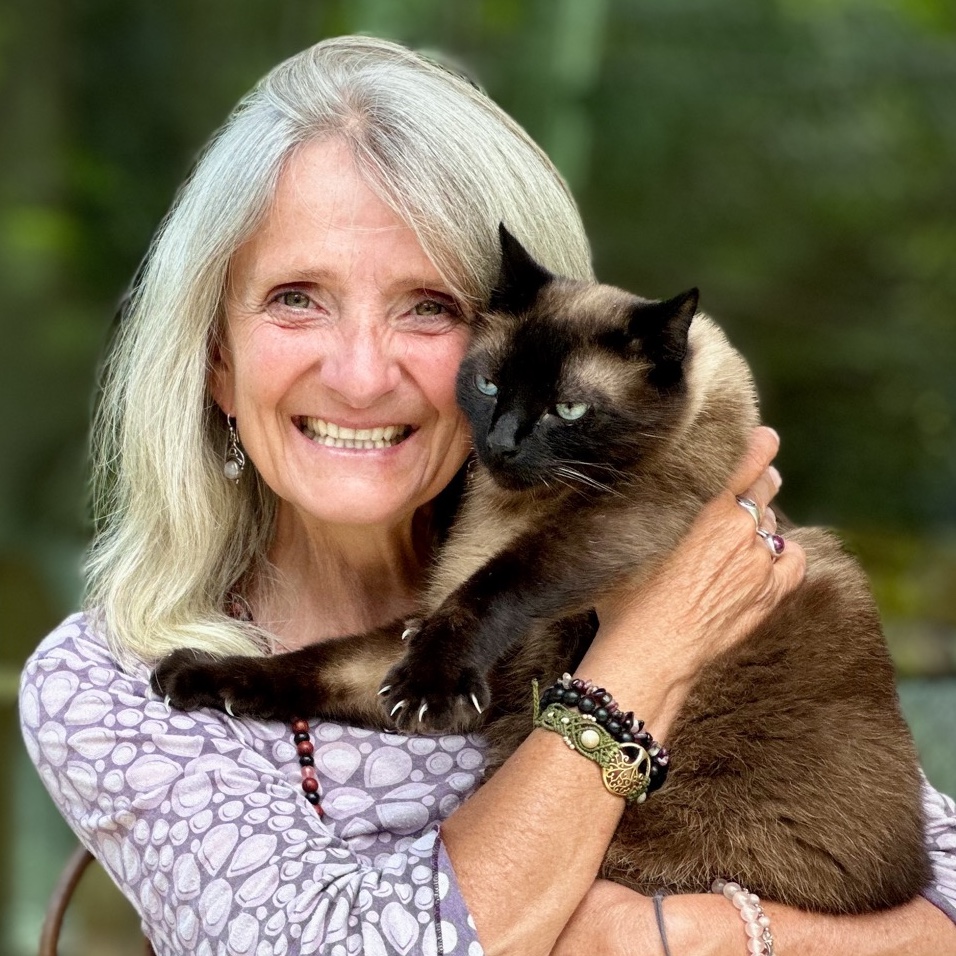 Par une connexion énergétique&nbsp;à distance, j'aide ton animal à guérir en le libérant des charges qu'il porte ou des traumatismes qu'il a vécus.