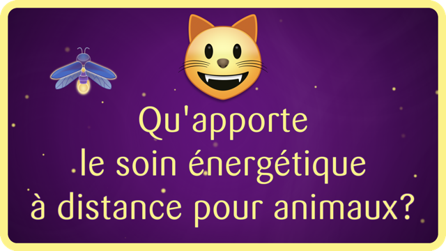 Qu'apporte le soin énergétique à distance pour animaux? Les animaux dits de compagnie sont dans un Amour sans limite à notre égard.