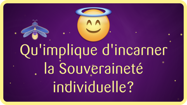 Qu'implique d'incarner la Souveraineté individuelle? La Souveraineté individuelle est avant tout une posture de Vie responsable face aux conditionnements et expériences qui génèrent des comportements toxiques.