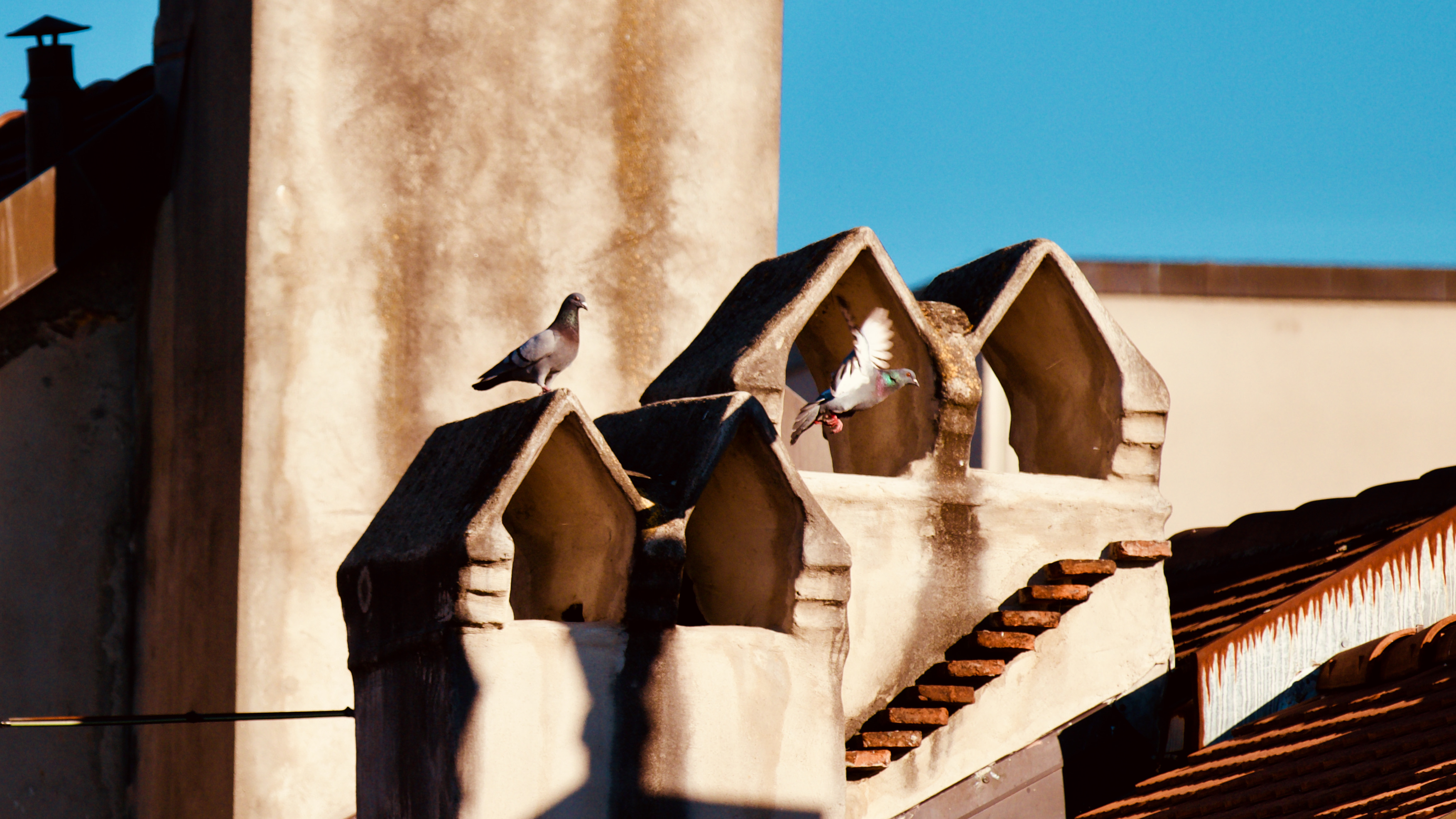 Reçois à fréquence douce d'environ un envoi par mois, un eMail d'information sur nos Nouvelles activités & Mises à jour de pages.