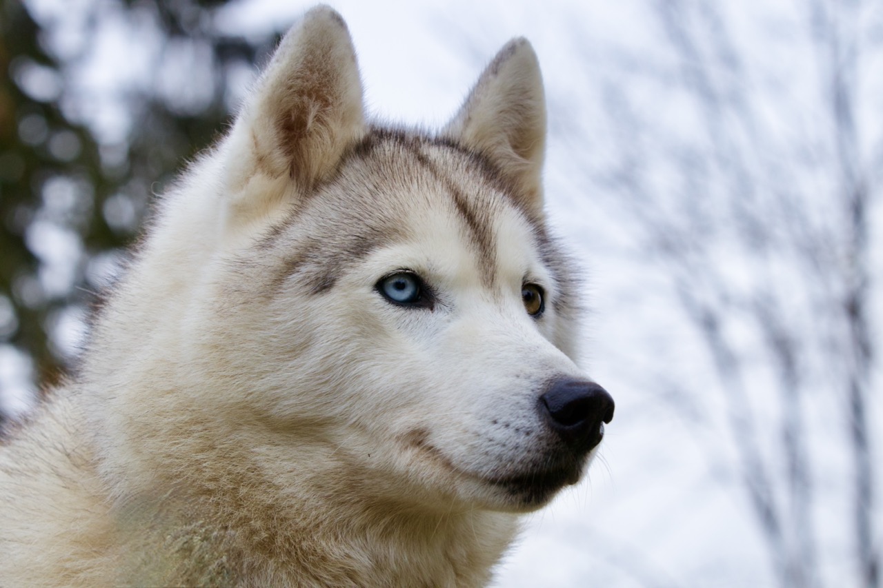 Rendez-vous avec l'Homme Sacré. ÂME LIBRE accompagnement. Auto-guérison et Reconnexion à Ton Essence divine. Éveil de Conscience